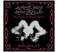 La Monte Young & Marian Zazeela – Dream House 78' 17" – Vinyle 12" (Victrola)