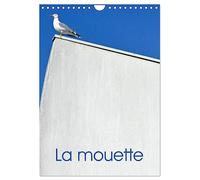 La mouette (Calendrier mural 2027 DIN A4 horizontal), CALVENDO calendrier mensuel: Photographies des mouettes dans nos ports