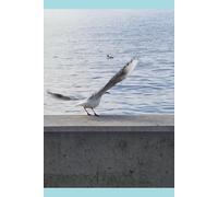La mouette qui s'envole