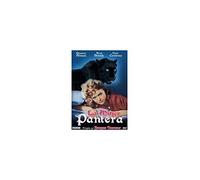 La Mujer Pantera --- IMPORT ZONE 2 ---