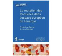 La Mutation Des Frontières Dans L'espace Européen De L'énergie