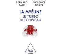 La Myéline: Le turbo du cerveau