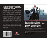 La Nanotechnologie Au Service De L'efficacité Des Piles À Combustible : Perspectives Actuelles