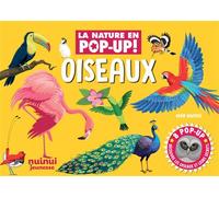 La nature en pop-up - Oiseaux - David Hawcock - Nuinui Jeunesse - cartonné - Document jeunesse