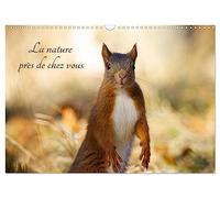 La nature près de chez vous (Calendrier mural 2027 DIN A3 vertical), CALVENDO calendrier mensuel: Les animaux près de chez soi
