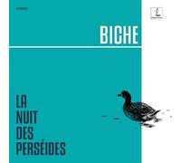 La Nuit des Perséides