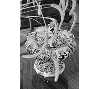 La oración y el espíritu: La filosofía griega en diálogo con el mundo: Primera edición en dos idiomas, con una perspectiva de investigación internacional