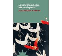 La paciencia del agua sobre cada piedra
