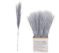 la Pampa - Roseau - Décoration Mariage - Violet - Amérique du Sud - pour Remplissage Vase, Ferme, décoration Mariage