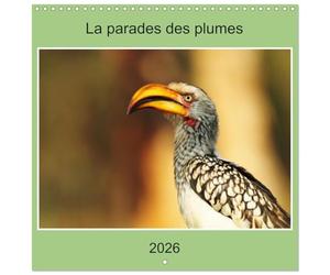 La parade des plumes (Calendrier mural carré 2026 30x30 cm) Calendrier double avec une page pour vos prises de notes: Des photos d'oiseaux remarquables et de toute beauté.