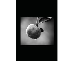 La Parole sans Héritiers: Jésus, le Royaume et la rupture avec le christianisme ontologique