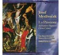 La Passione Di Nostro Signore Gesu Cristo