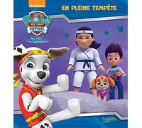 La Pat' Patrouille - En pleine tempête