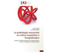 La pathologie anorectale en milieu hospitalier à Ouagadougou Alice Guingané (Auteur), Alain Bougouma (Auteur), Arsène Roger Sombié (Auteur)