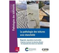 La Pathologie Des Toitures Avec Étanchéité - Diagnostic, Réparations Et Prévention