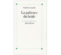 La Patience du brûlé Carnets de voyages, 1983-1987 - Diane Ménard - Albin Michel - broché - Livre