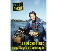 La Pêche à pied coquillages et crustacés