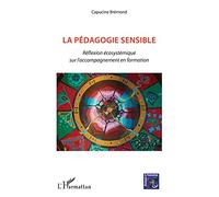 La pédagogie sensible: Réflexion écosystémique sur l'accompagnement en formation