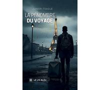 La pénombre du voyage Chroniques d'une flamme discrète - Junior Tsague - Le Lys Bleu - broché - Roman