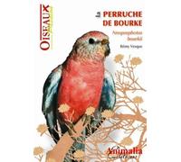 La Perruche de Bourke