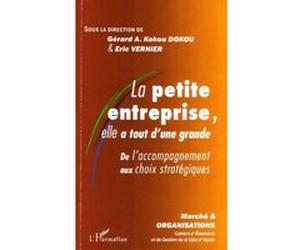 La petite entreprise, elle a tout d'une grande Eric Vernier (Auteur), Gérard A. Kokou Dokou (Auteur)