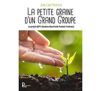 La petite graine d'un Grand Groupe: Le projet GEPY (Gestion Electricité Postale Yvelines)