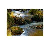 La Petite rivière Ohe murmure doucement，Puzzle pour Adultes 1000 Pièces en Papier Puzzles Jeu Cadeau Accueil Décoratif Mots Croisés（50x70cm）-BA26