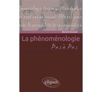 La phénoménologie - Benoit Donnet - Ellipses - broché - Essai