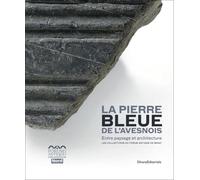La pierre bleue de l'Avesnois, entre paysage et architecture : Les collections du Forum antique de Bavay