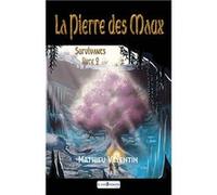 La Pierre des Maux Livre 2 Survivants Valentin MathieuValentin Mathieu (Auteur)