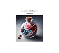 La Pierre Et Le Bouton