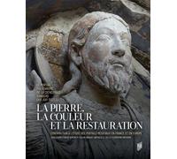 La pierre, la couleur et la restauration Le portail polychromé de la cathédrale d'Angers (XIIe-XXIe siècle). Contribution à l'étude des portails médiévaux en France et en Europe - Bénédicte Fillion-Br