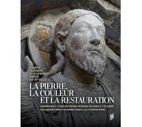 La pierre, la couleur et la restauration: Le portail polychromé de la cathédrale d'Angers (XIIe-XXIe siècle). Contribution à l'étude des portails médiévaux en France et en Europe
