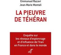 La pieuvre de Téhéran Emmanuel Razavi (Auteur), Jean-Marie Montali (Auteur)