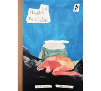 La Planète en colère - Damien CHEMIN - Pan - broché - Monographie