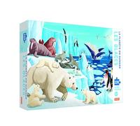 La planète en danger - Les glaces