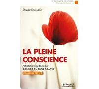 La pleine conscience Elisabeth Couzon (Auteur)