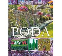 La poda / Pruning