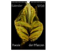 La poésie des plantes (Calendrier mural 2026 DIN A4 vertical), CALVENDO calendrier mensuel
