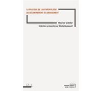 La Pratique de l'anthropologie Michel Lussault (Auteur), Maurice Godelier (Auteur)