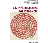 La préhistoire au présent Sophie A. de Beaune (Directeur éditorial), Rémi Labrusse (Directeur éditorial)