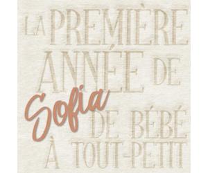 La première année de Sofia - de bébé à tout-petit: Album bébé à remplir pour la première année de vie - Album naissance fille