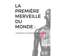 LA PREMIERE MERVEILLE DU MONDE : CHRONIQUE D'UN SYSTEME QUI FONCTIONNE.