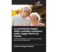 La previsione legale della custodia cautelare nella Legge Maria da Penha