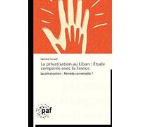 La Privatisation Au Liban : Étude Comparée Avec La France