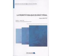 La probité publique en droit pénal