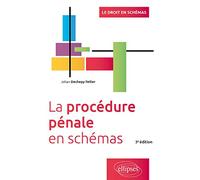 La procédure pénale en schémas