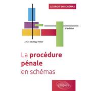 La procédure pénale en schémas À jour des lois du 22 décembre 2021 pour la confiance dans l'institution judiciaire et du 24 janvier 2022 relative à la responsabilité pénale et à la sécurité intérieure