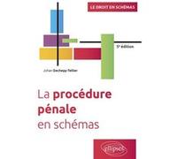 La procédure pénale en schémas Johan Dechepy-Tellier (Auteur)