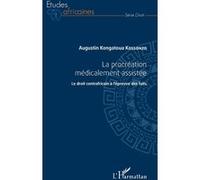 La Procréation Médicalement Assistée - Le Droit Centrafricain À L'épreuve Des Faits